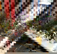 Grampians Wildflower Show - Tourism Caloundra