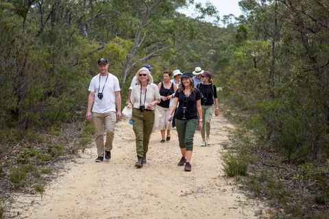 Highland Valley Forage - Tourism Caloundra 1