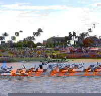 Jacaranda Dragon Boat Races - Tourism Caloundra