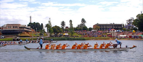 Jacaranda Dragon Boat Races - Tourism Caloundra 0