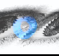 Joe Orton's What the Butler Saw - Tourism Caloundra