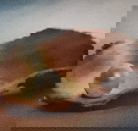 Lecture Cancelled  ADFAS  Lecture Half-Day - Patricia Law speaking on Pearls and Diamonds - Tourism Caloundra