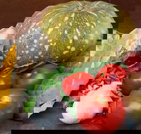 Lismore Organic Market - Tourism Caloundra