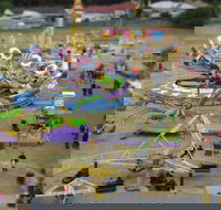 Millicent Agricultural and Horticultural Show - Tourism Caloundra