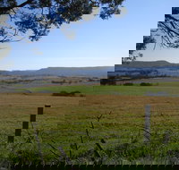 Milton Village Showground Markets - Tourism Caloundra