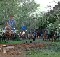 Night Horse Ride and Dinner - Tourism Caloundra