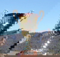 Nimbin Poetry World Cup - Tourism Caloundra