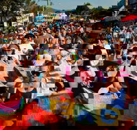 Nimbin Roots Festival - Tourism Caloundra