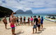 Ocean Swim Week With Trevor Hendy: Pinetrees Lord Howe Island - thumb 0