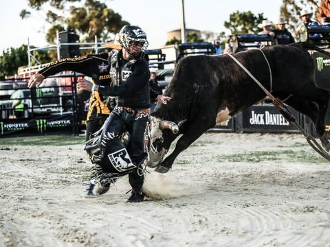 PBR Hawkesbury Stampede - Tourism Caloundra 2