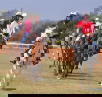 Pride of the West Races 2020 - Tourism Caloundra