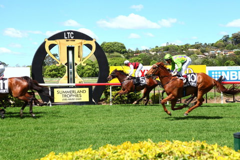 The O’Brien Electrical And Plumbing Lismore Cup - Tourism Caloundra 1