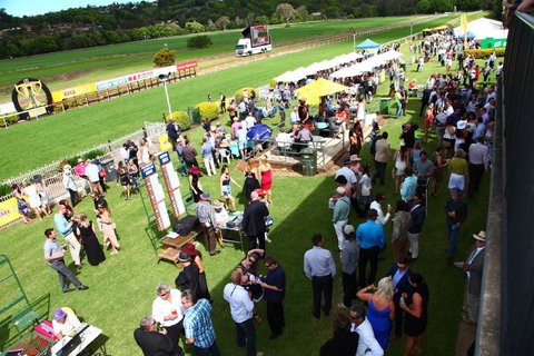 The O’Brien Electrical And Plumbing Lismore Cup - Tourism Caloundra 2