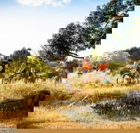 The Beverley Heroic - Tourism Caloundra