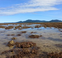 Walk to the Reef - Tourism Caloundra