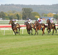 Aggies Race Day - Tourism Caloundra