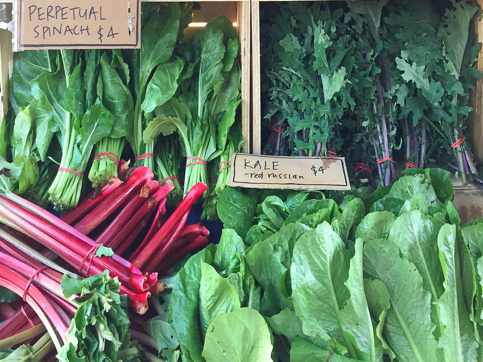 Mongans Bridge VIC Tourism Caloundra