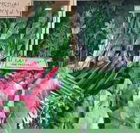 Albury Wodonga Farmers Market - Tourism Caloundra