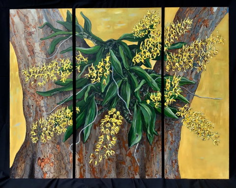 A Still Life - Solo Exhibition  Karen Sedaitis - Tourism Caloundra 1