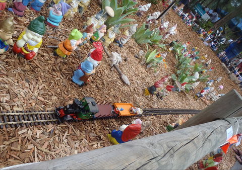Australia Day With The Australian Gnome Convention Glenbrook - Tourism Caloundra 2