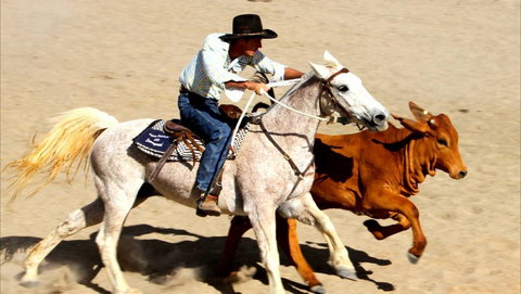 Bedourie Campdraft, Rodeo, Gymkhana - Tourism Caloundra 0