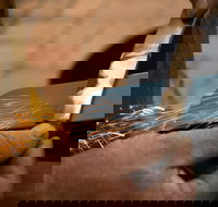 Blacksmithing 2 Day Project Workshop - Tourism Caloundra