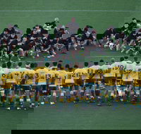 Bledisloe Cup Qantas Wallabies versus All Blacks - Tourism Caloundra