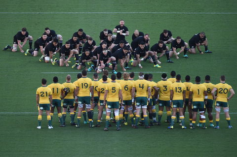 Bledisloe Cup: Qantas Wallabies Versus All Blacks - Tourism Caloundra 0