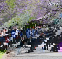 Celtic Festival of Queensland - Tourism Caloundra