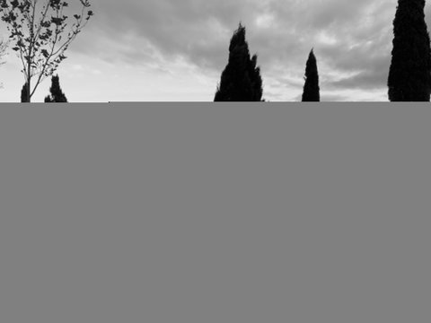 Cheese And Wine Experience - Tourism Caloundra 1