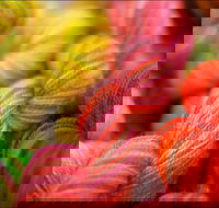 Creative Fibre - Tourism Caloundra