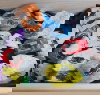 Cuttle-Rock Challenge - CUTTLEFEST 2020 - Whyalla - Tourism Caloundra