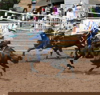 Dalgety Team Penning - Tourism Caloundra