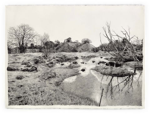 EXHIBITION: LILY MAE MARTIN: OVERBURDEN - Tourism Caloundra 3