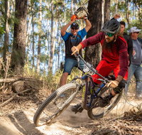 Fox Superflow sealed by Stan's Race  Jolly Nose - Tourism Caloundra
