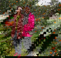 Fruit Taste Adventure Tours - Tourism Caloundra