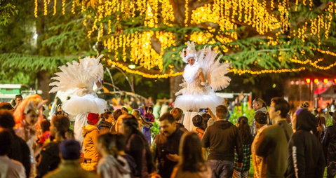 Fusion Wagga Wagga - Tourism Caloundra 1