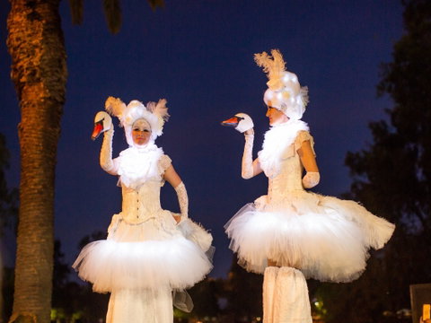 Fusion Wagga Wagga - Tourism Caloundra 2