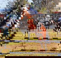 Glen Innes Pastoral and Agricultural Show - Tourism Caloundra