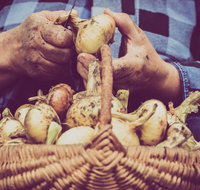 Grafton Farmers Market - Tourism Caloundra
