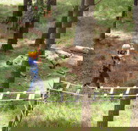 July 2020 Holidays- Go Wild at the Mt Lofty Adventure Hub - Tourism Caloundra