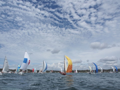 Lakefest - Tourism Caloundra 5