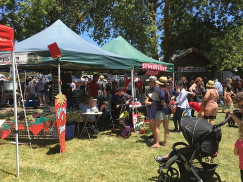 Macclesfield Strawberry Fete - Tourism Caloundra 1