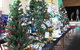 Mount Morgan Christmas Tree Festival - thumb 0