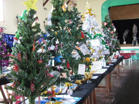 Mount Morgan Christmas Tree Festival - Tourism Caloundra 0
