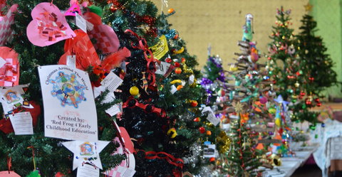 Mount Morgan Christmas Tree Festival - Tourism Caloundra 2