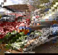 Murphys Creek Markets - Tourism Caloundra