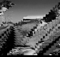 Music in the Gardens - Mitch King - Tourism Caloundra