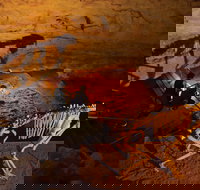 Naracoorte World Heritage Festival and Run - Tourism Caloundra