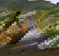 Online exhibition recess presents - Tourism Caloundra
